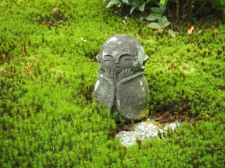 Somatic pathways for animist connection to place and body