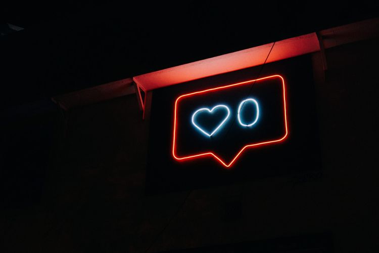 The secret life of memes and the death of intersectional activism